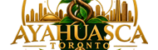 Official logo of Ayahuasca Toronto featuring authentic Shipibo Amazonian plant medicine designs.